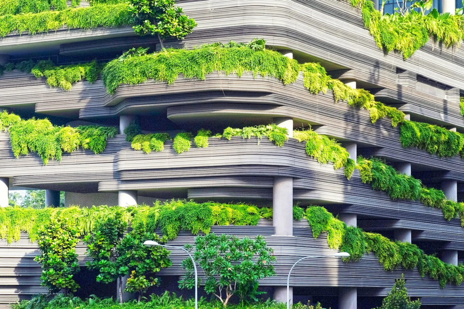 Sustainable business practices